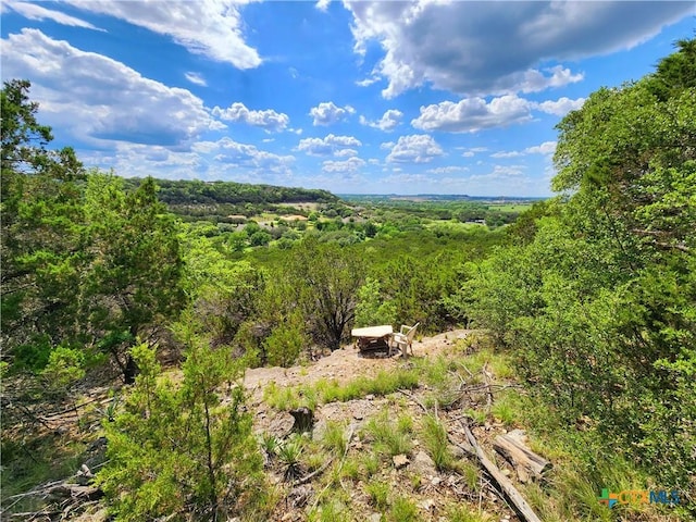 4360 Flint Oak Dr, Belton, TX 76513 - view of tree filled area