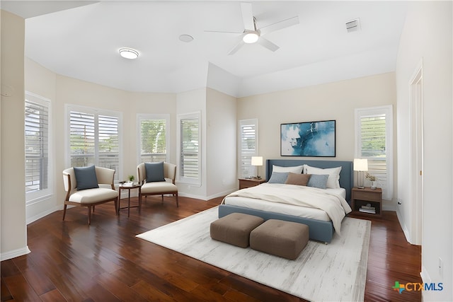 20904 Apache Plum Ln, Pflugerville, TX 78660 - bedroom featuring dark wood-style flooring, multiple windows, baseboards, and a ceiling fan
