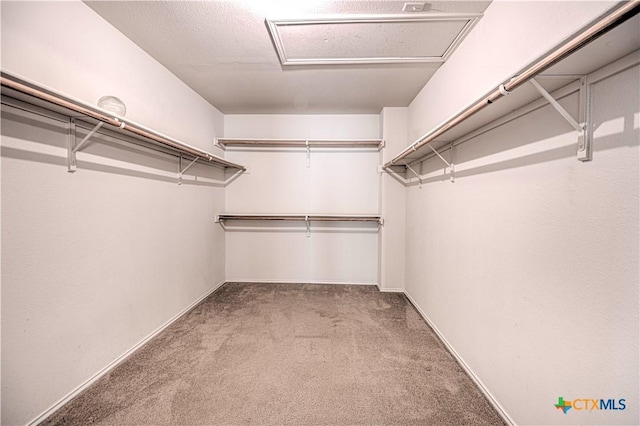 walk in closet with light carpet