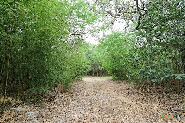 view of road featuring a wooded view