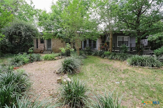 view of yard featuring entry steps