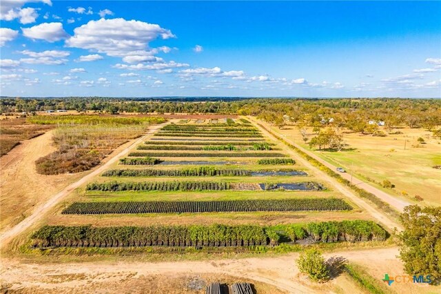 TBD County Road 3411, Chandler, TX 75758 - photo 23