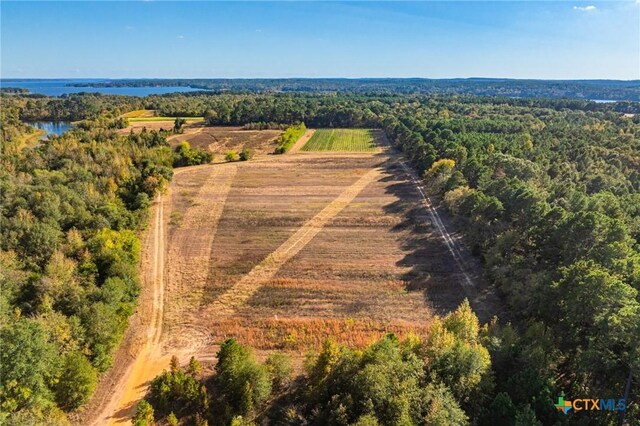 TBD County Road 3411, Chandler, TX 75758 - photo 21