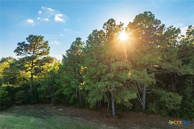TBD County Road 3411, Chandler, TX 75758 - photo 27