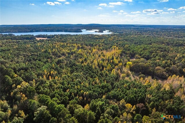 TBD County Road 3411, Chandler, TX 75758 - photo 20