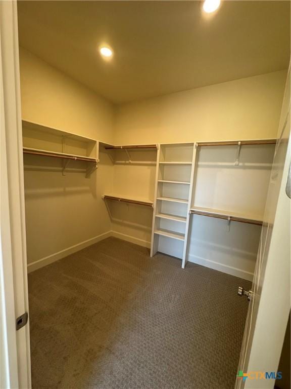 5903 Whippoorwill Rd, Temple, TX 76502 - walk in closet featuring dark carpet