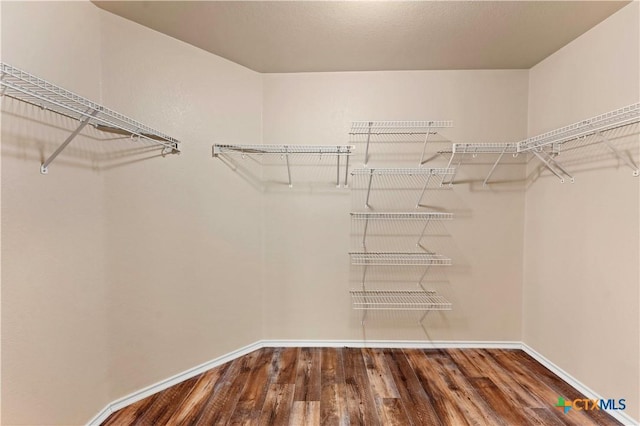 spacious closet with wood finished floors