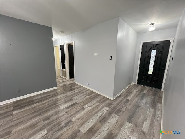 entrance foyer featuring wood-type flooring