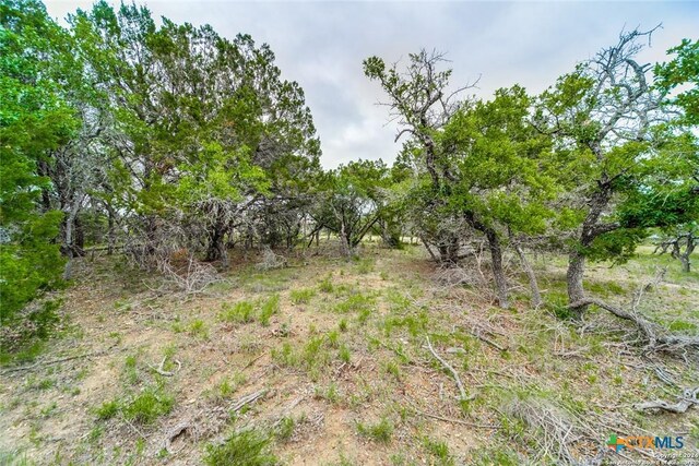 980 Scarlett Ridge Dr, Bulverde, TX 78163 - photo 9