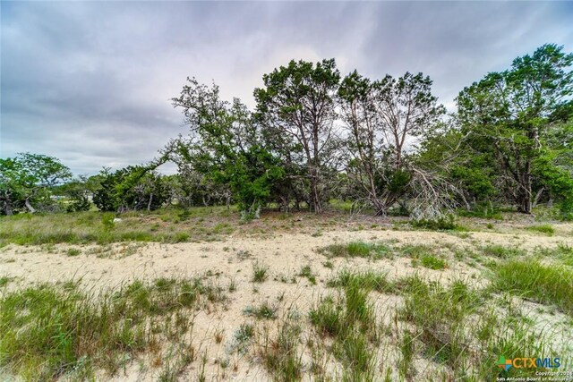 980 Scarlett Ridge Dr, Bulverde, TX 78163 - photo 10