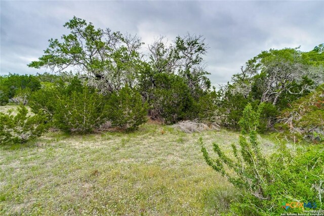 980 Scarlett Ridge Dr, Bulverde, TX 78163 - photo 8