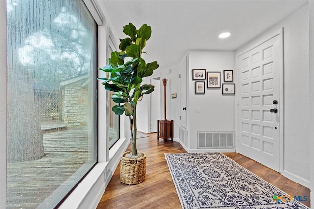 entryway with hardwood / wood-style flooring