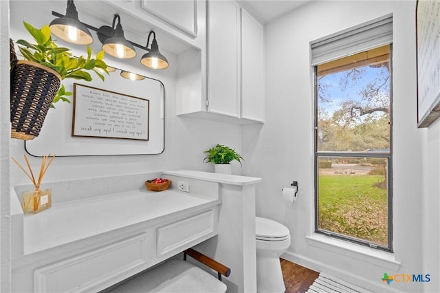 bathroom with wood-type flooring, toilet, and a wealth of natural light