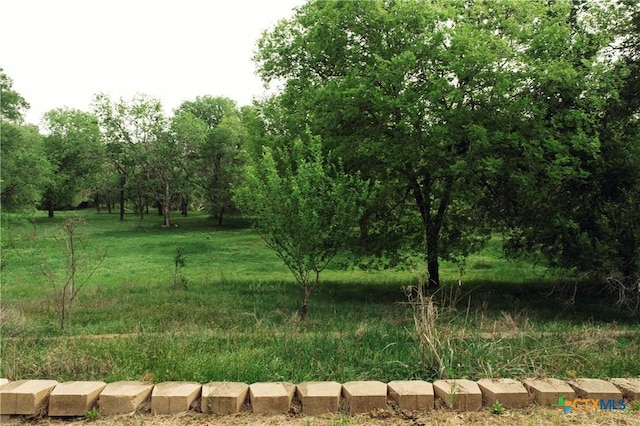 1061 Martindale Falls Rd, Martindale, TX 78655 - photo 28