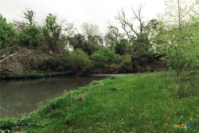 1061 Martindale Falls Rd, Martindale, TX 78655 - photo 18