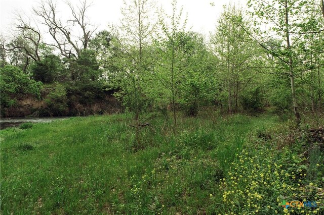 1061 Martindale Falls Rd, Martindale, TX 78655 - photo 16