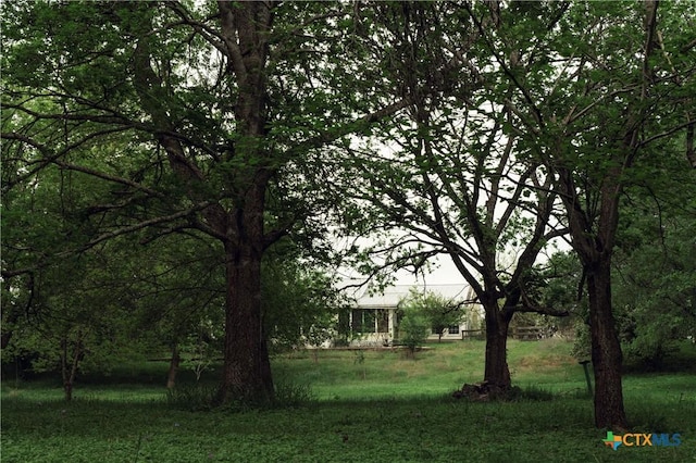 1061 Martindale Falls Rd, Martindale, TX 78655 - photo 26