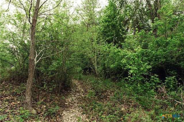 1061 Martindale Falls Rd, Martindale, TX 78655 - photo 10