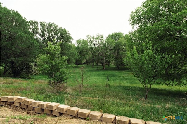1061 Martindale Falls Rd, Martindale, TX 78655 - photo 29
