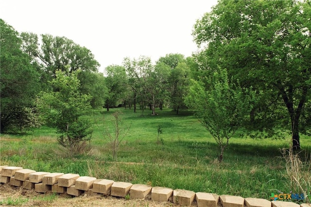 1061 Martindale Falls Rd, Martindale, TX 78655 - photo 27