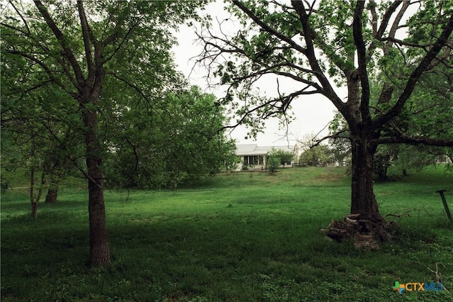 1061 Martindale Falls Rd, Martindale, TX 78655 - photo 8