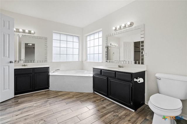 bathroom with toilet, vanity, and a tub to relax in