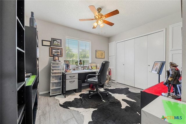504 Surghnor St, Belton, TX 76513 - office featuring ceiling fan and light wood-style floors