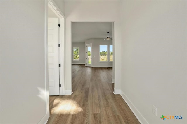 hall with hardwood / wood-style floors