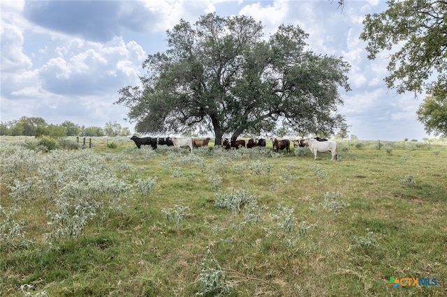 4725 Fm 532, Gonzales TX, 78629 land for sale