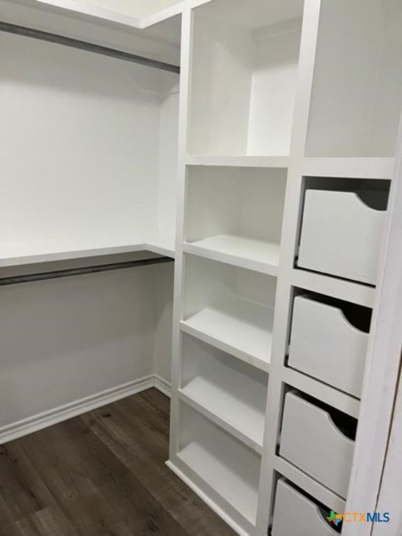 walk in closet featuring dark wood-style floors