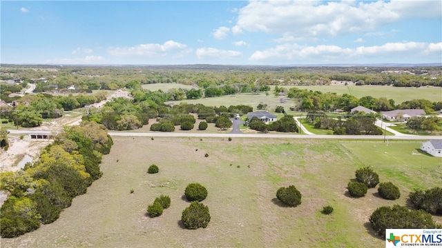 Listing photo 3 for 313 Lets Roll Dr, Fischer TX 78623