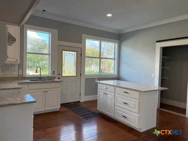 1612 Saint Peter St, Gonzales, TX 78629 - kitchen featuring a sink, dark wood-type flooring, crown molding, white cabinetry, and light stone countertops