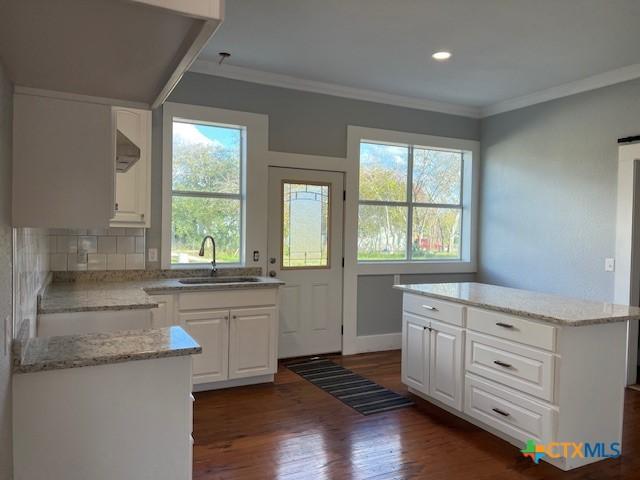 1612 Saint Peter St, Gonzales, TX 78629 - kitchen featuring a sink, healthy amount of natural light, dark wood-type flooring, white cabinetry, and crown molding