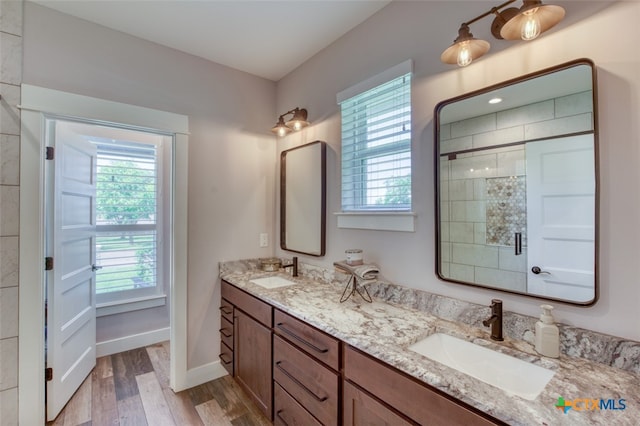 bathroom featuring walk in shower, wood-type flooring, and vanity