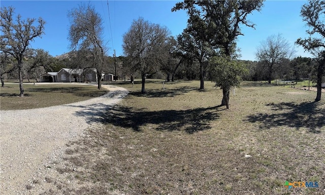 view of road with gravel driveway