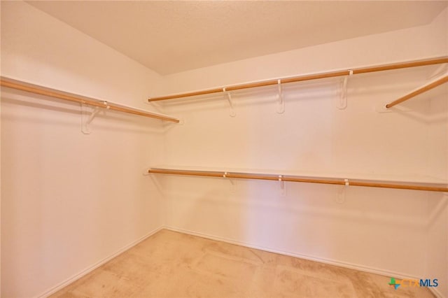 spacious closet with light carpet