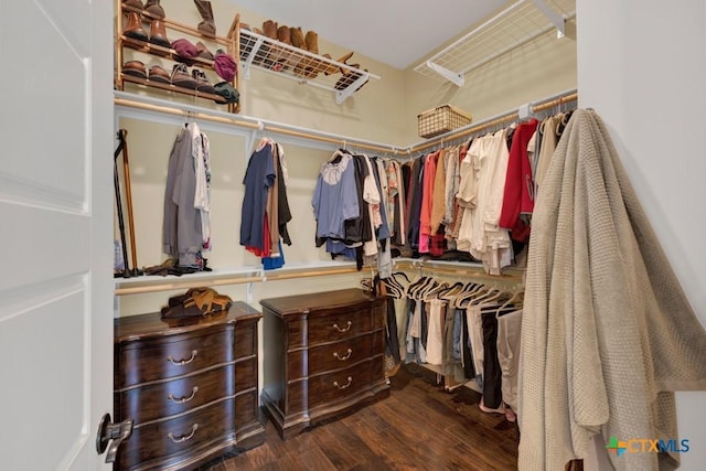 spacious closet featuring wood finished floors