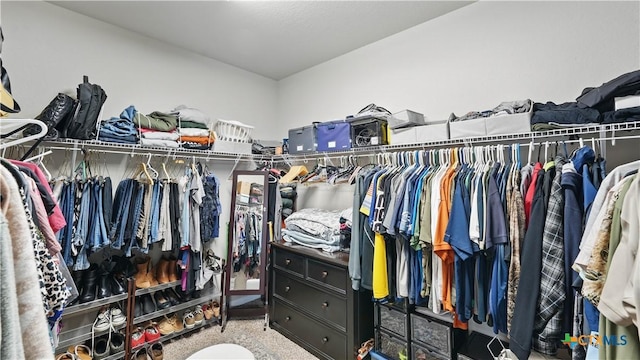 3616 Blue Cloud Dr, New Braunfels, TX 78130 - walk in closet with carpet flooring