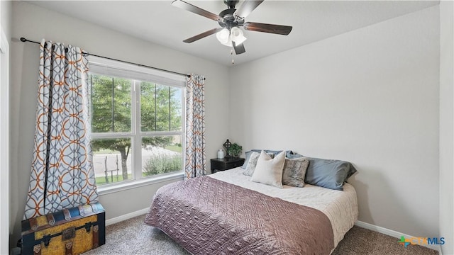3616 Blue Cloud Dr, New Braunfels, TX 78130 - carpeted bedroom featuring baseboards, multiple windows, and ceiling fan