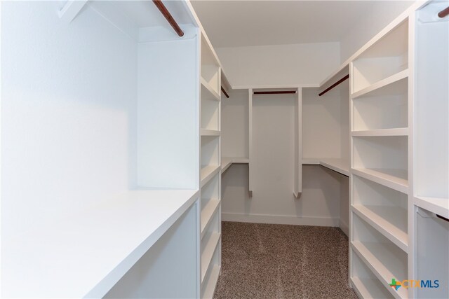 spacious closet with dark colored carpet