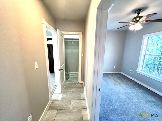 hallway with light carpet