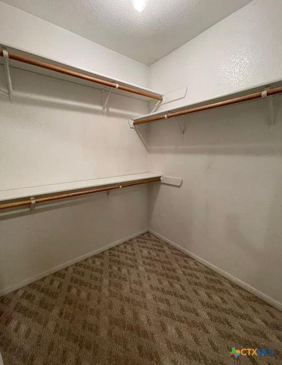 walk in closet with carpet flooring