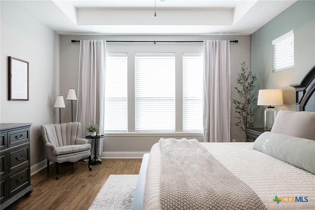 110 Terra Vista Ranch Rd, Victoria, TX 77904 - bedroom featuring wood finished floors and a tray ceiling