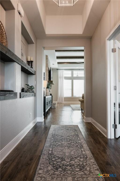 110 Terra Vista Ranch Rd, Victoria, TX 77904 - hallway with a raised ceiling and dark wood finished floors