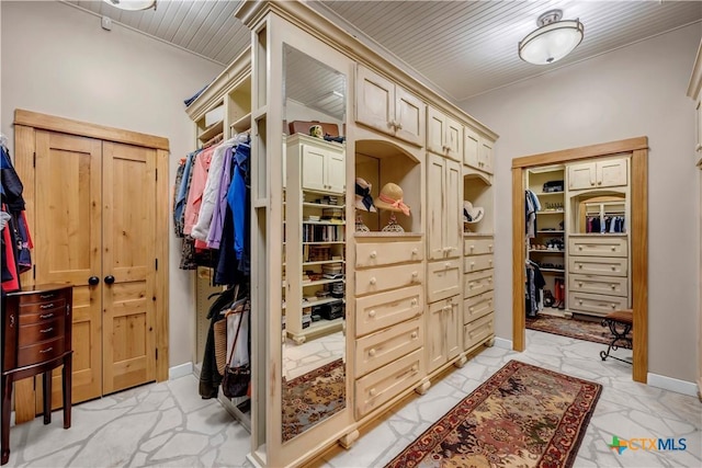 view of spacious closet