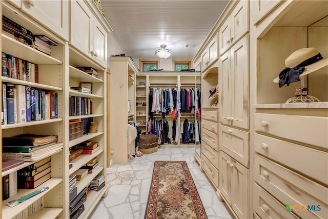 view of walk in closet