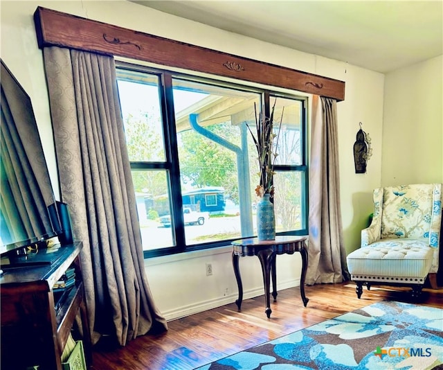 sitting room with hardwood / wood-style flooring