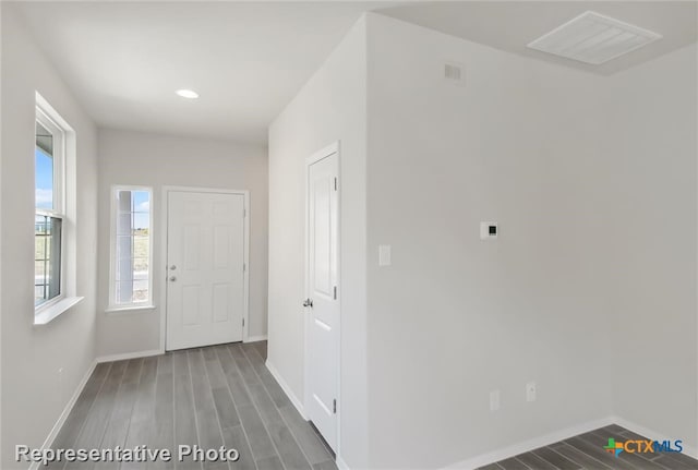 entryway featuring hardwood / wood-style floors