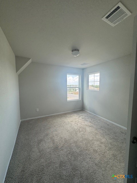 133 Keltic Dr, Kyle, TX 78640 - photo 13