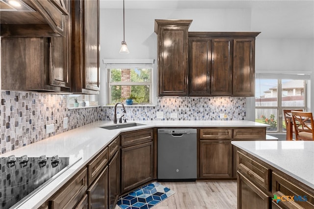 kitchen with dishwasher, light hardwood / wood-style floors, plenty of natural light, and sink